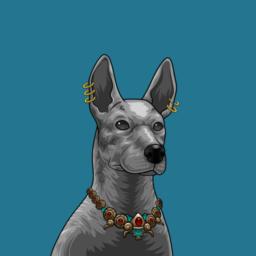 xolo image