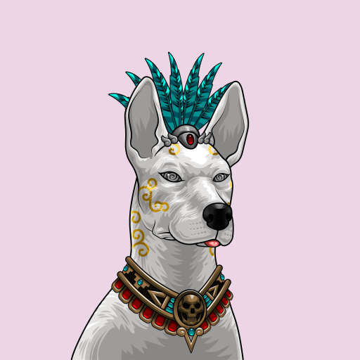 xolo image