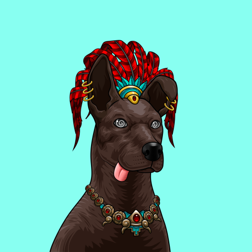 xolo image
